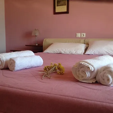 Guest house Cengo *